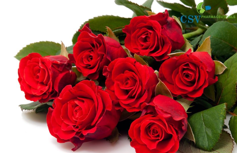 PC Red Rose