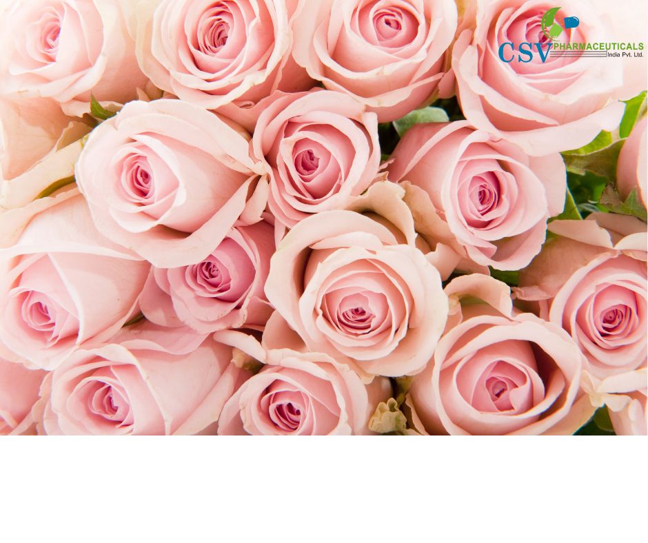 PC British Rose