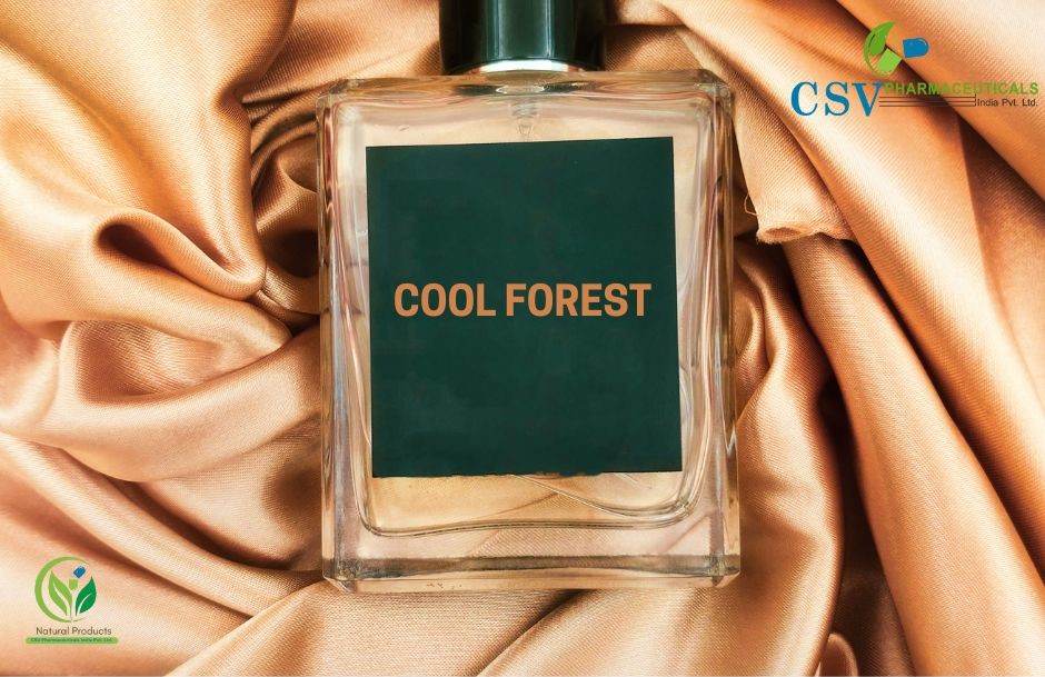 PC Cool Forest