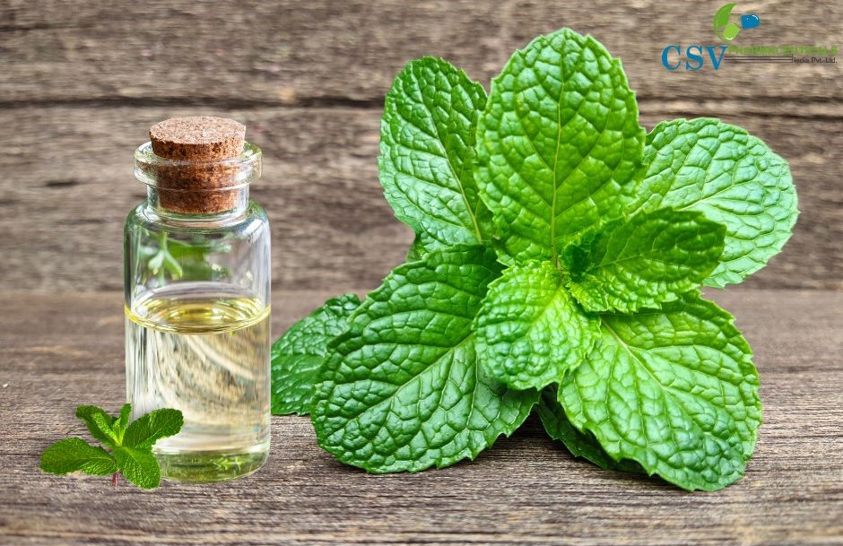 Mint Terpene
